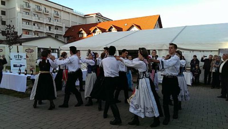 Die Tanzgruppe des Brukenthal-Gymnasiums sorgte ...