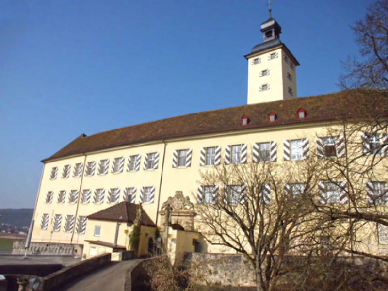Schloss Horneck in Gundelsheim am Neckar. Foto: ...