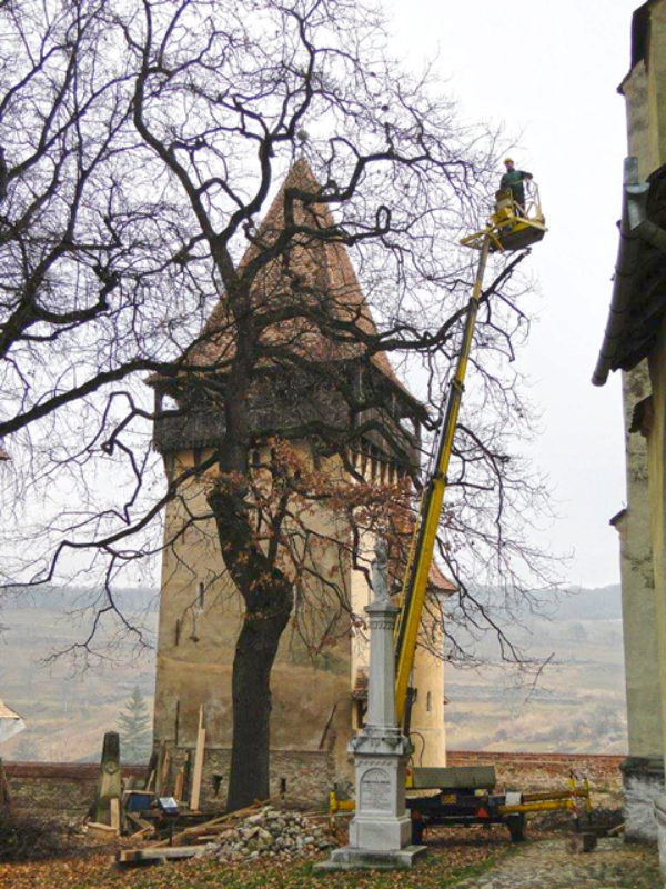 Renovierungsarbeiten an der Kirchenburg Birthlm. ...