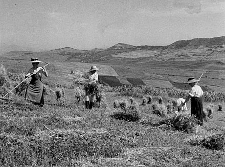 Im Mrz 1945 wurden die siebenbrgisch-schsischen Bauern im Zuge der kommunistischen Agrarreform enteignet. Ihre Verwurzelung mit dem Boden nahm ein jhes Ende. Aufnahme der Pressefotografin Erika Groth-Schmachtenberger in Lechnitz, 1939.
