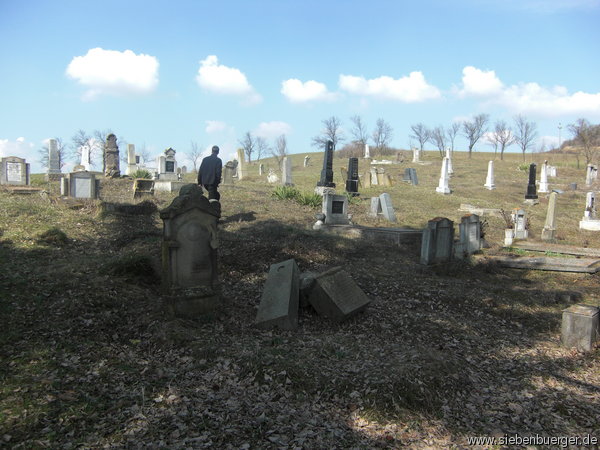 Ahnensuche am schnen Friedhof in Felldorf!