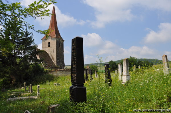 Blick vom Friedhof,auf die Ruine der Kirchenburg