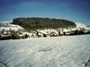 Der Fhrenwald im Winter (2001)