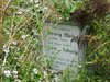 Schaaler Friedhof - bildliche Eindrcke im Laufe der Jahre -  ab:  2000 - 2015